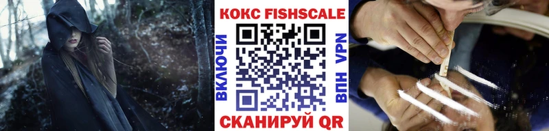 omg рабочий сайт  Сасово  КОКАИН Fish Scale 