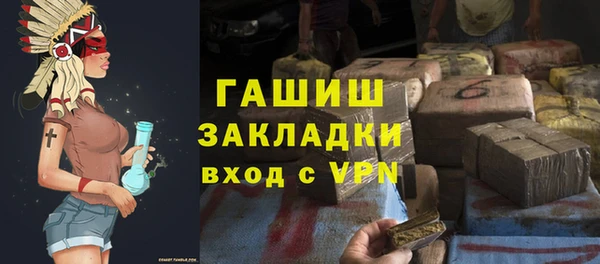 шишки Анива