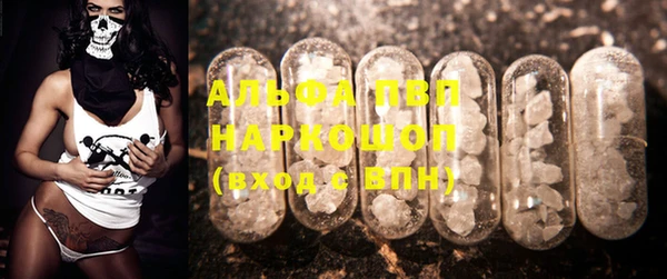ГАЛЛЮЦИНОГЕННЫЕ ГРИБЫ Коряжма