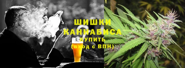 ГАЛЛЮЦИНОГЕННЫЕ ГРИБЫ Коряжма