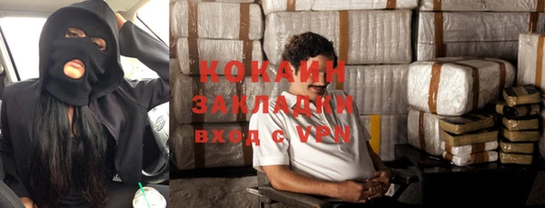 ГАЛЛЮЦИНОГЕННЫЕ ГРИБЫ Коряжма